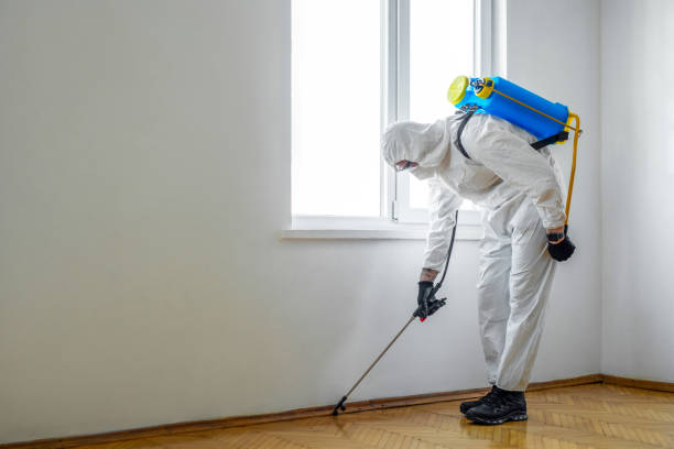 Best Pest Exclusion Services  in Princeton, MO